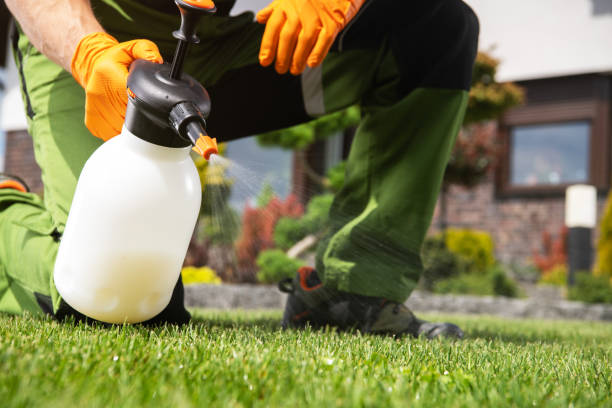 Best Pest Control for Homes  in Ransomville, NY