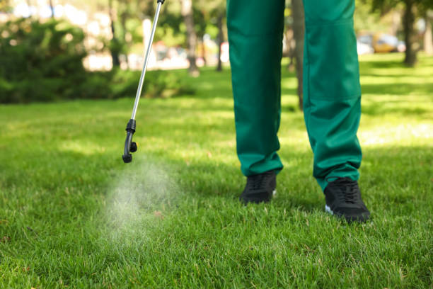 Flea Control Services in Ransomville, NY