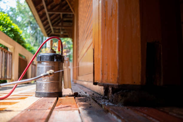 Best Pest Removal Services  in Ransomville, NY