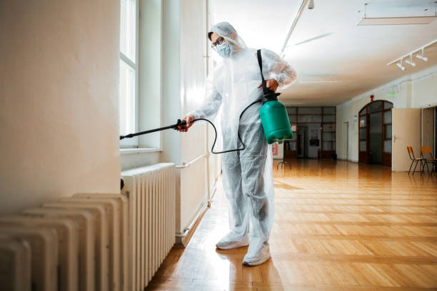 Best Flea Control Services  in Ransomville, NY