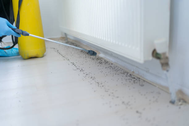 Best Pest Inspection Near Me  in Ransomville, NY