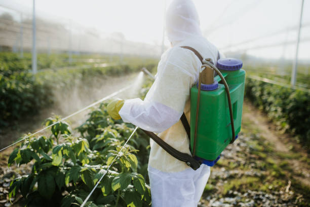 Best Bed Bug Extermination  in Ransomville, NY